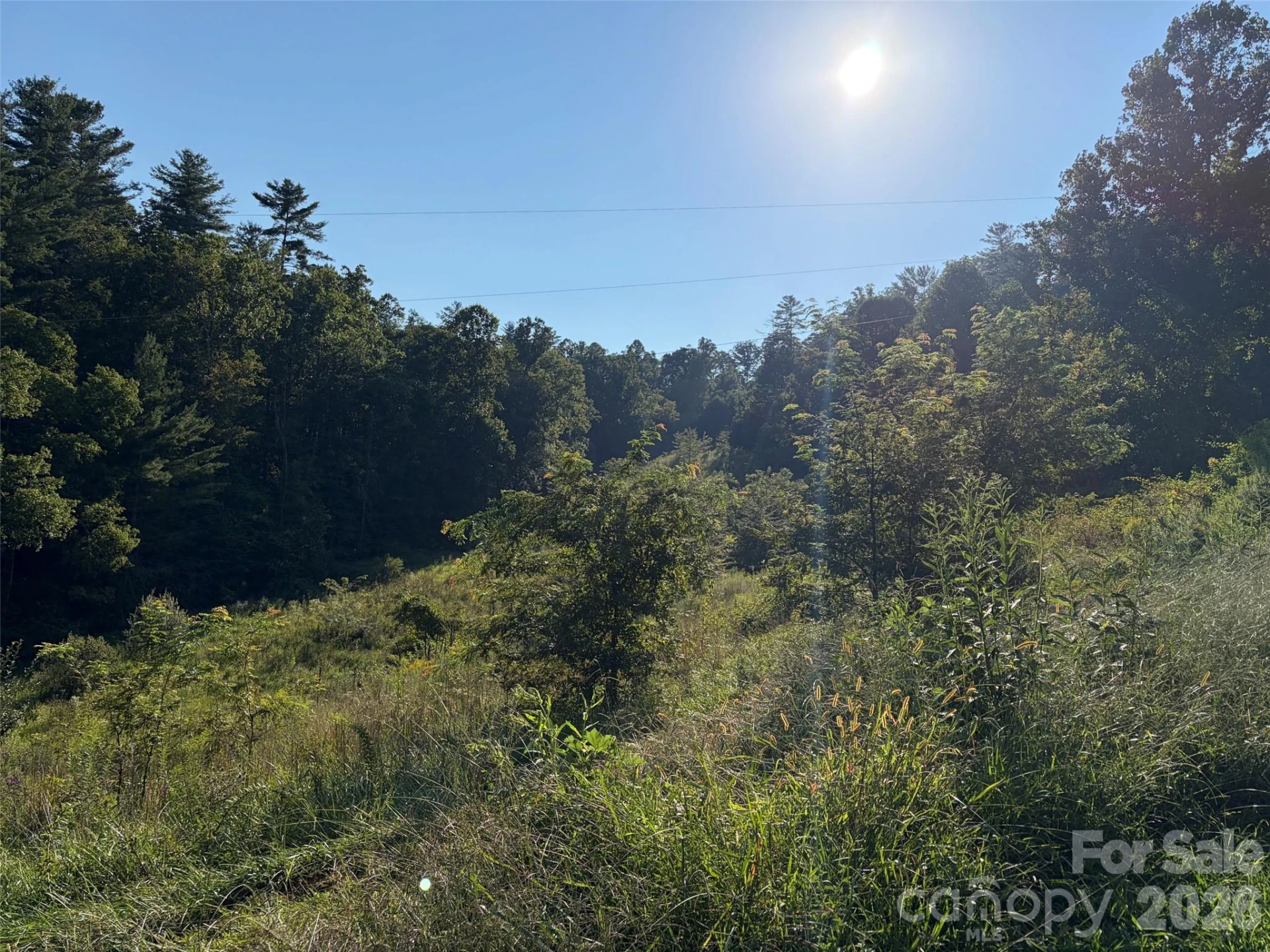 4401 Meadows Town Road - Photo 3