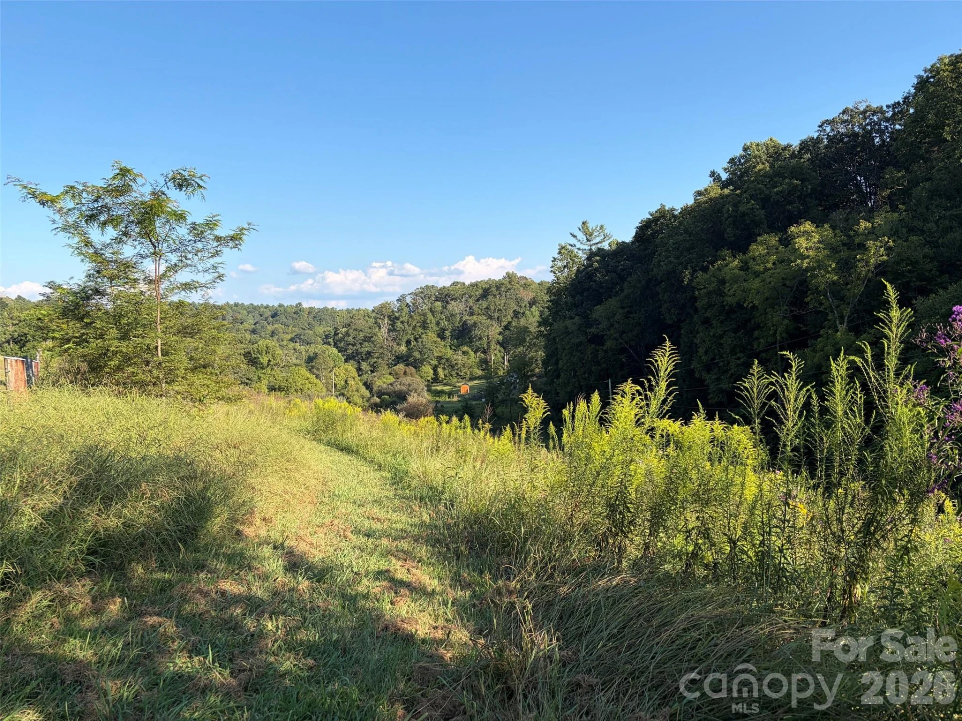 4401 Meadows Town Road - Photo 5