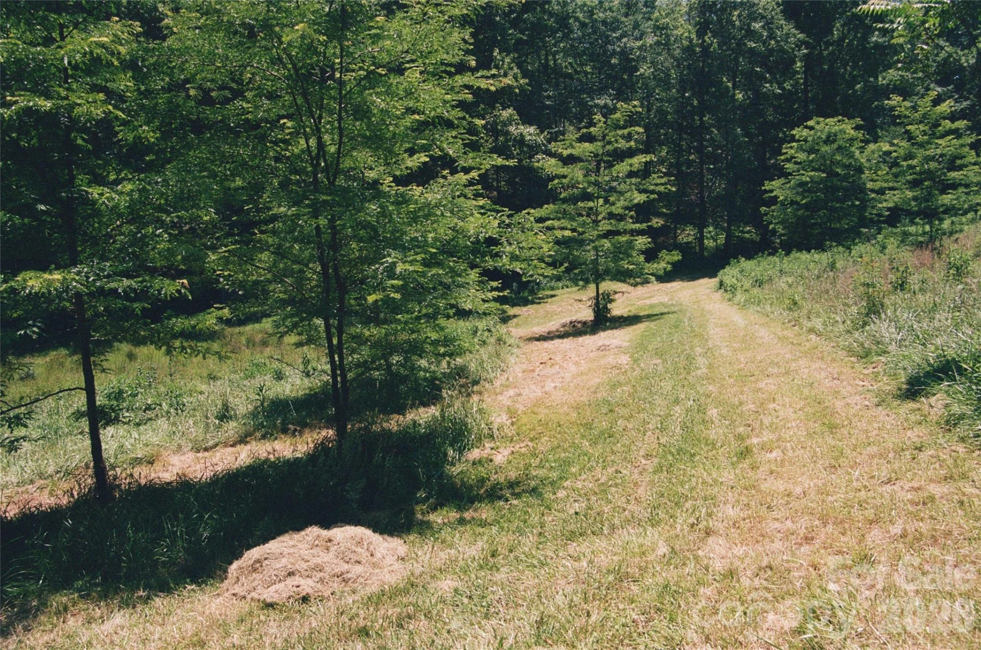 4401 Meadows Town Road - Photo 8