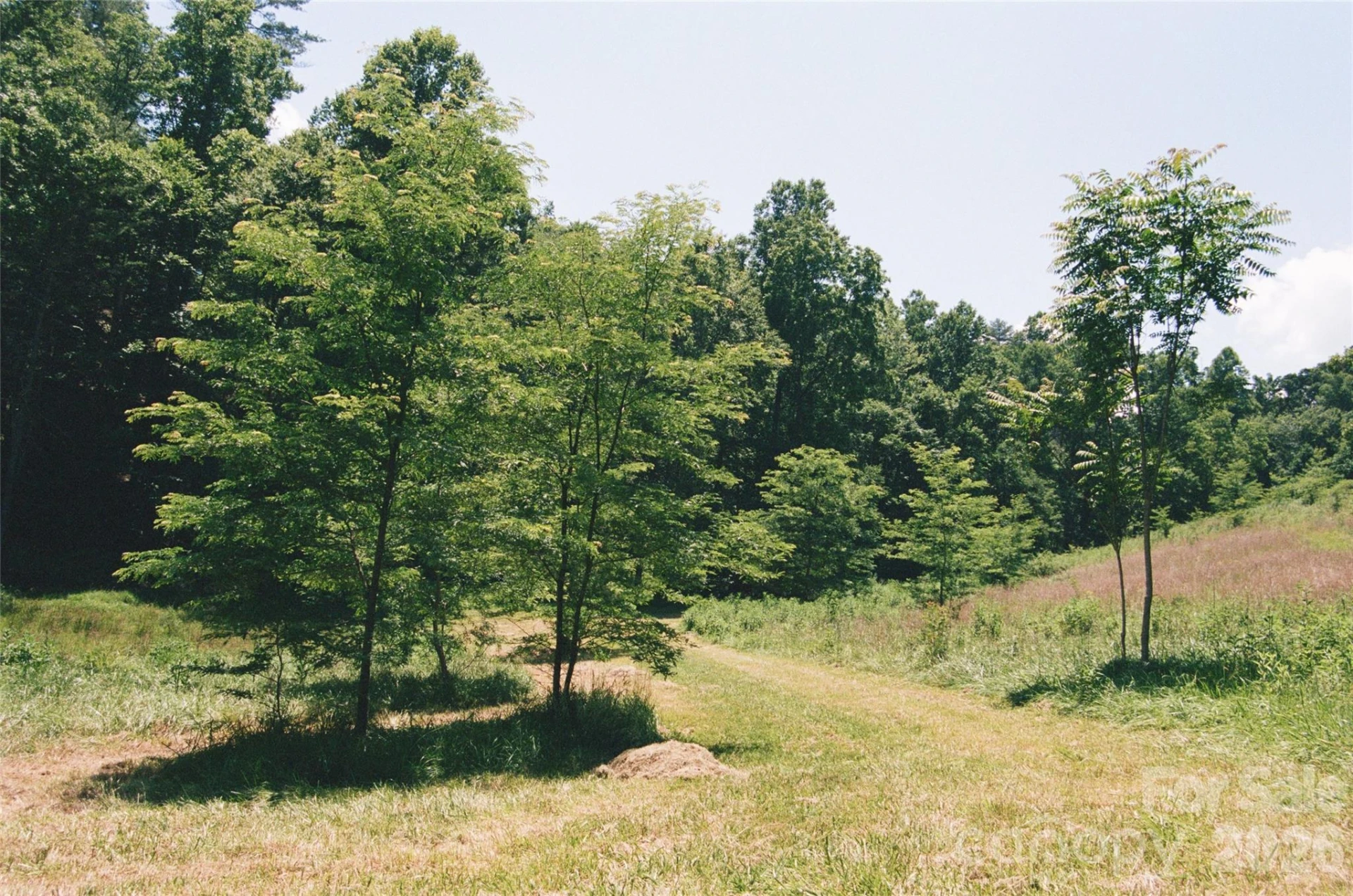 4401 Meadows Town Road - Photo 11