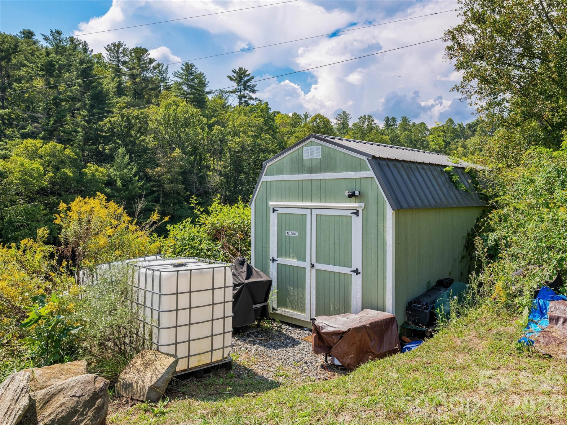 4401 Meadows Town Road - Photo 34