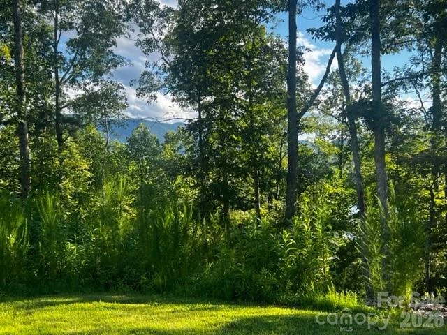 23 Mountain Parkway - Photo 2