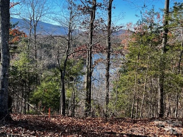 23 Mountain Parkway - Photo 3
