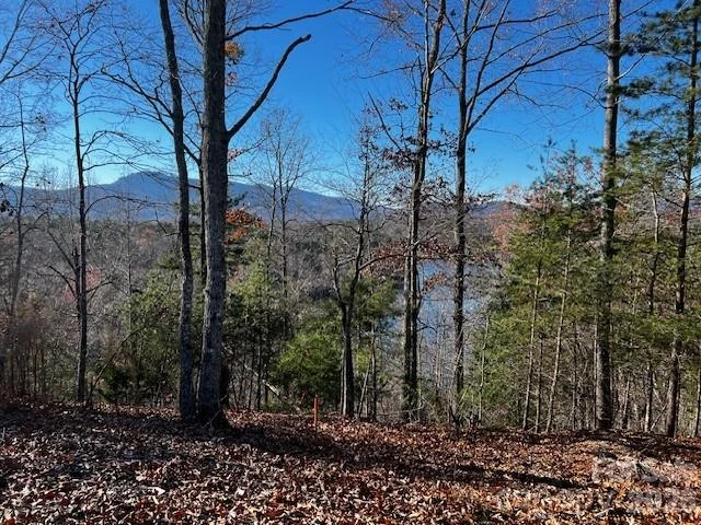 23 Mountain Parkway - Photo 4