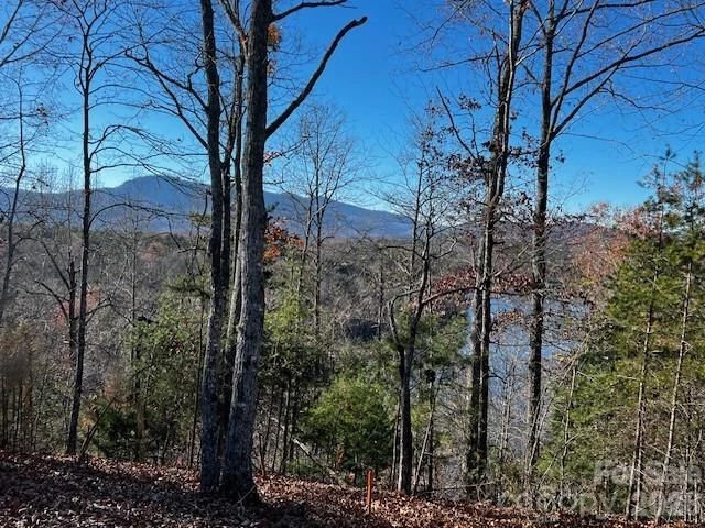 23 Mountain Parkway - Photo 16