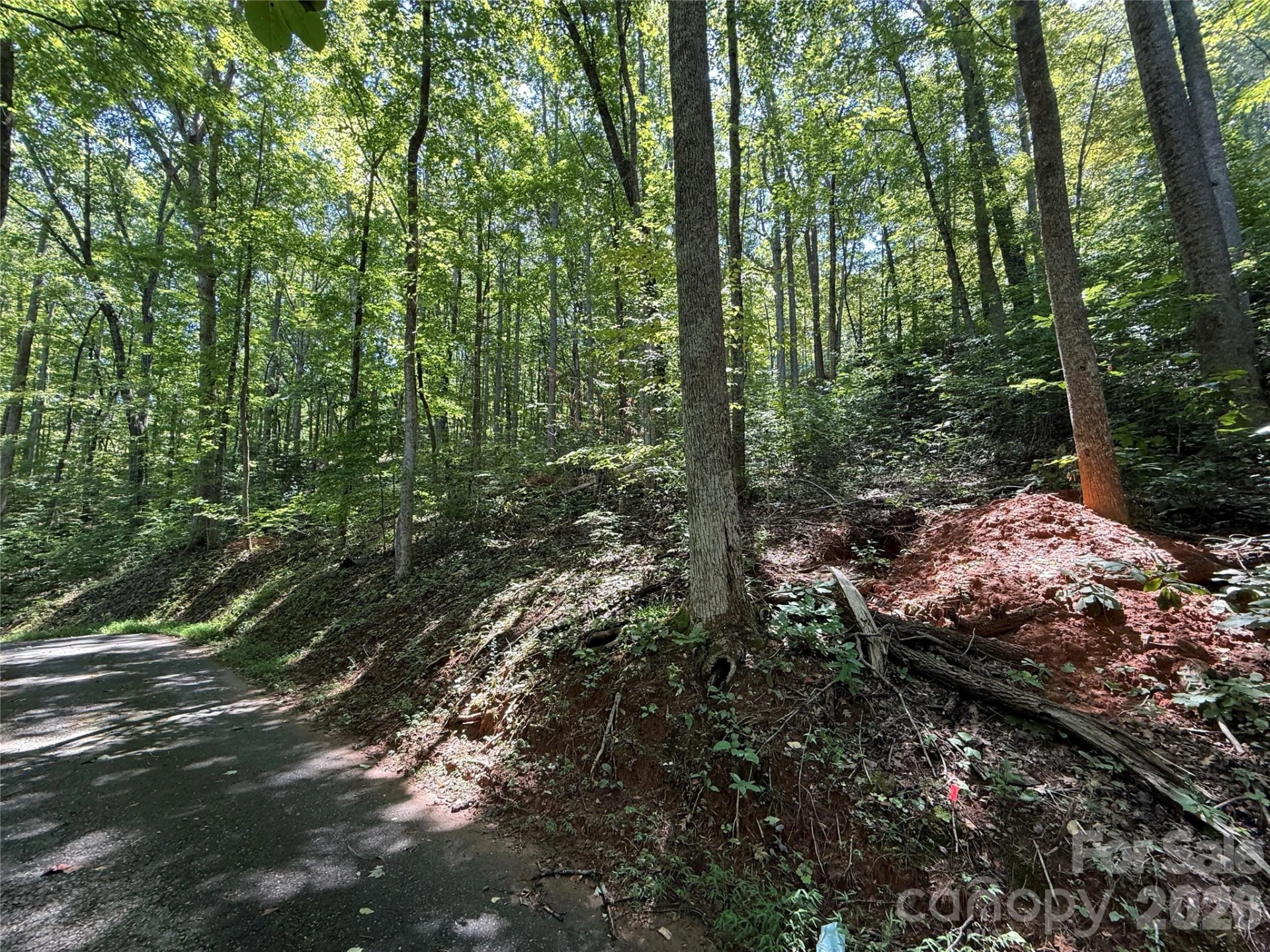 114 High Pines Loop #114 - Photo 11
