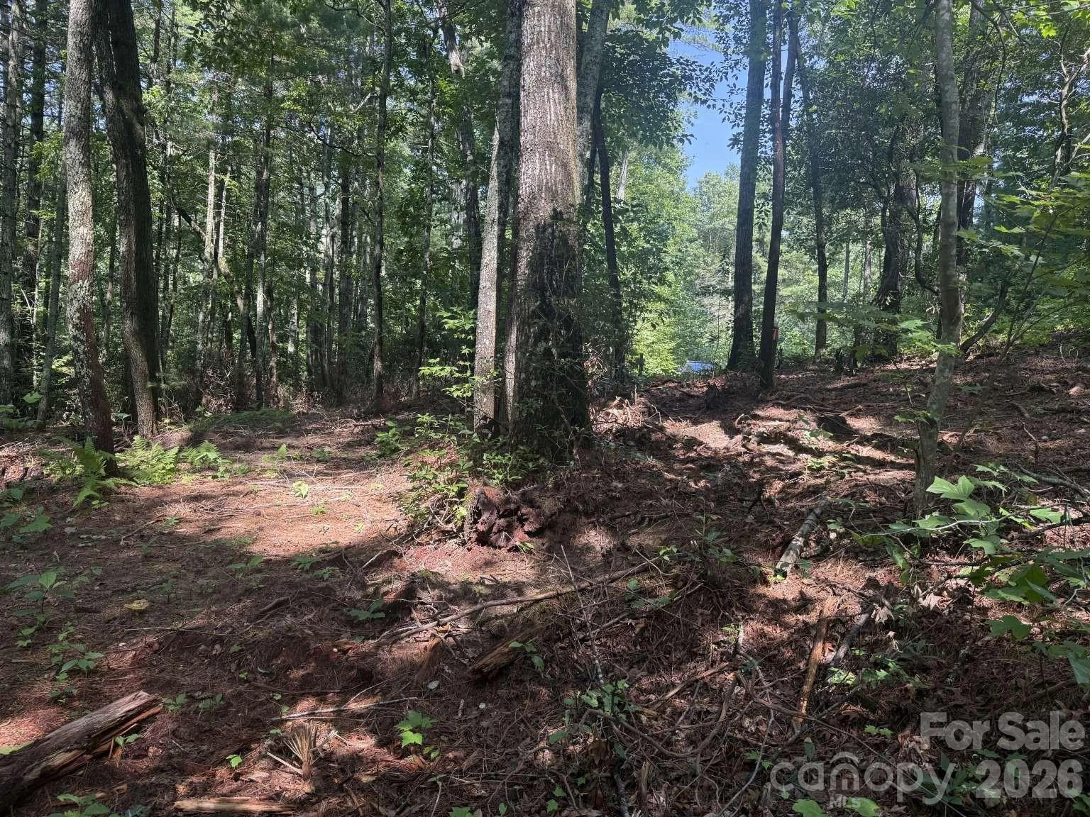 0 Huckleberry Ridge Lane #127R2 - Photo 6