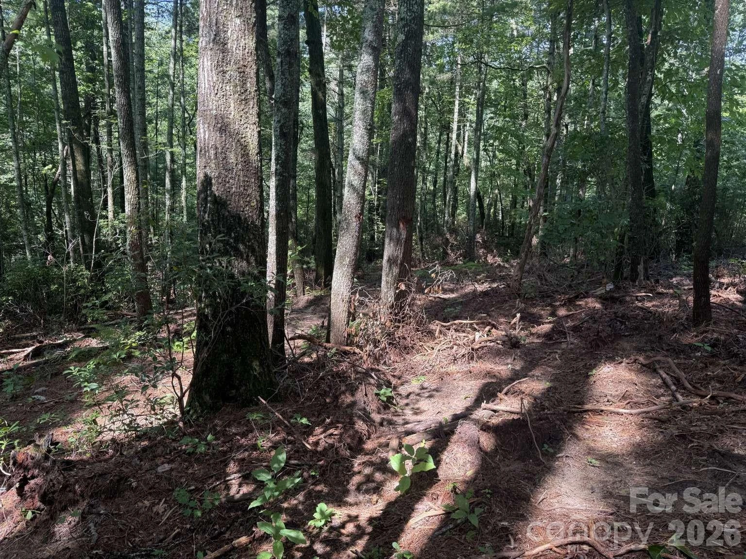 0 Huckleberry Ridge Lane #127R2 - Photo 7