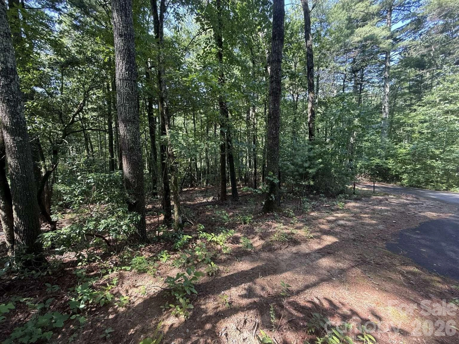 0 Huckleberry Ridge Lane #127R2 - Photo 8