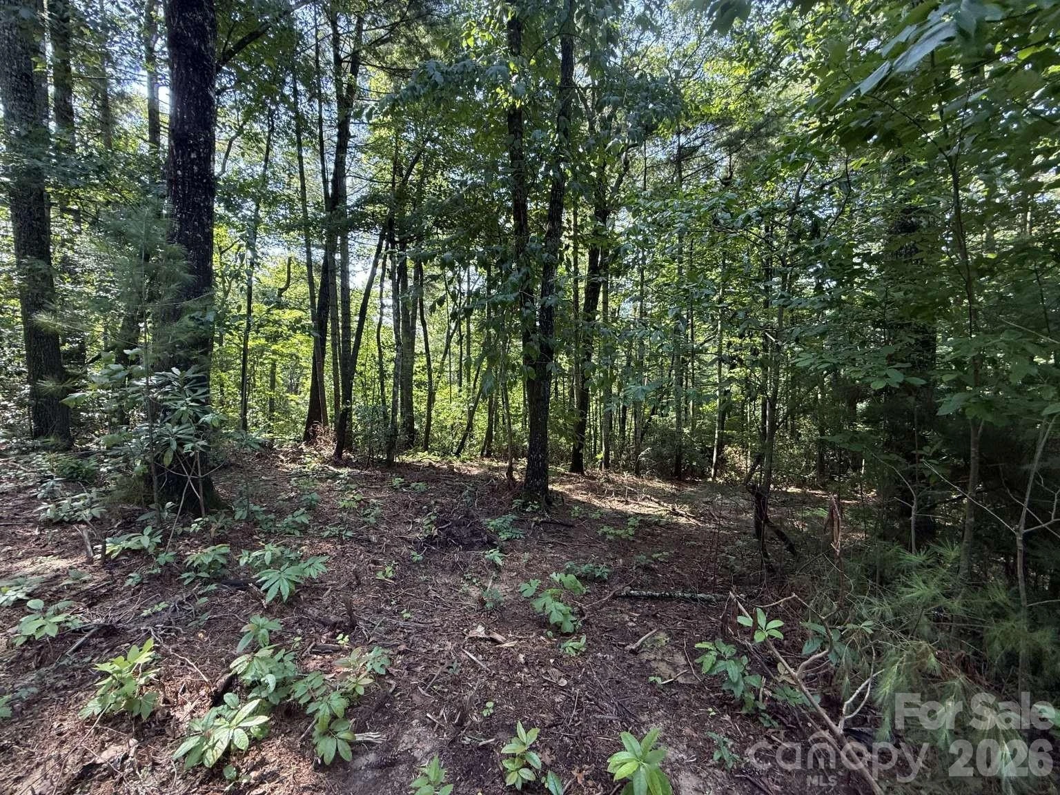 0 Huckleberry Ridge Lane #127R2 - Photo 9