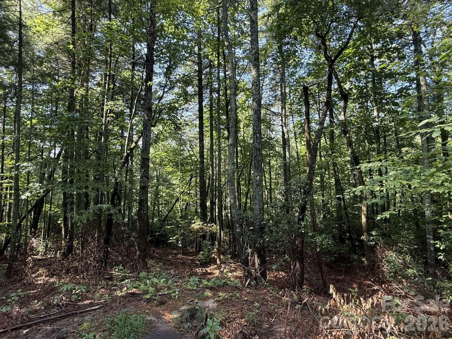 0 Huckleberry Ridge Lane #127R2 - Photo 10