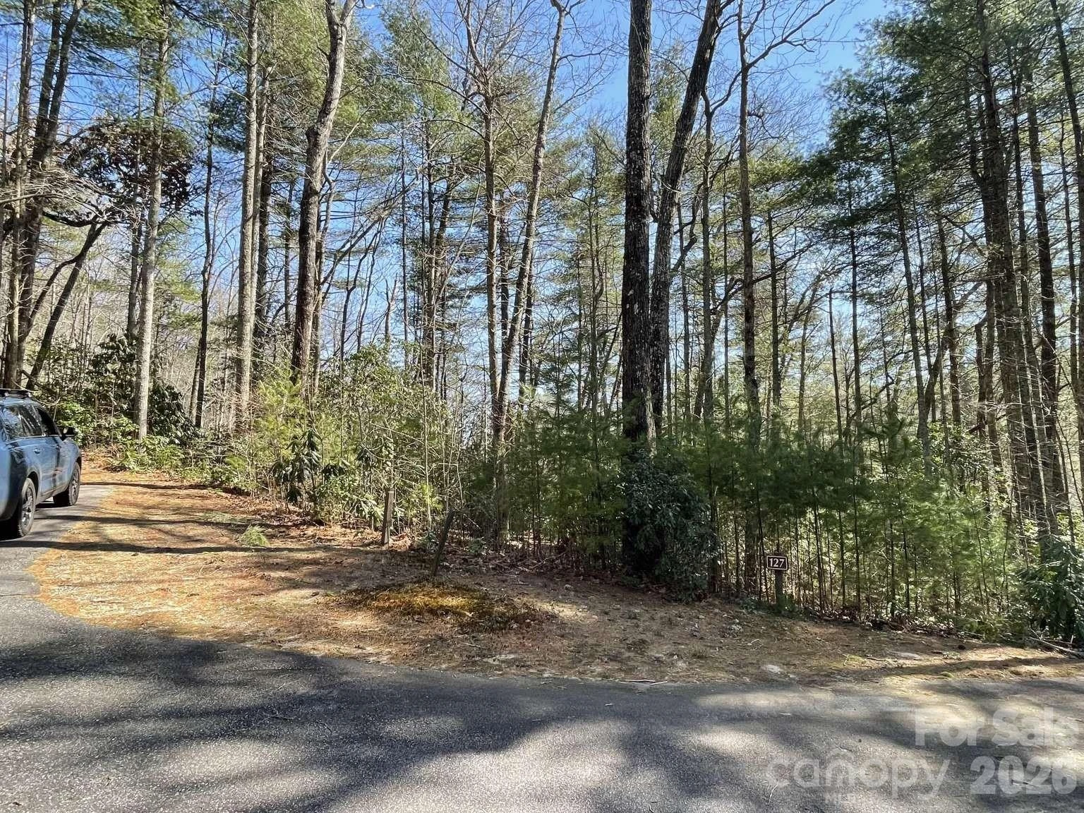 0 Huckleberry Ridge Lane #127R2 - Photo 13