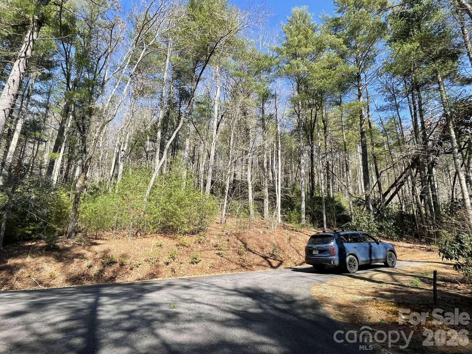 0 Huckleberry Ridge Lane #127R2 - Photo 15