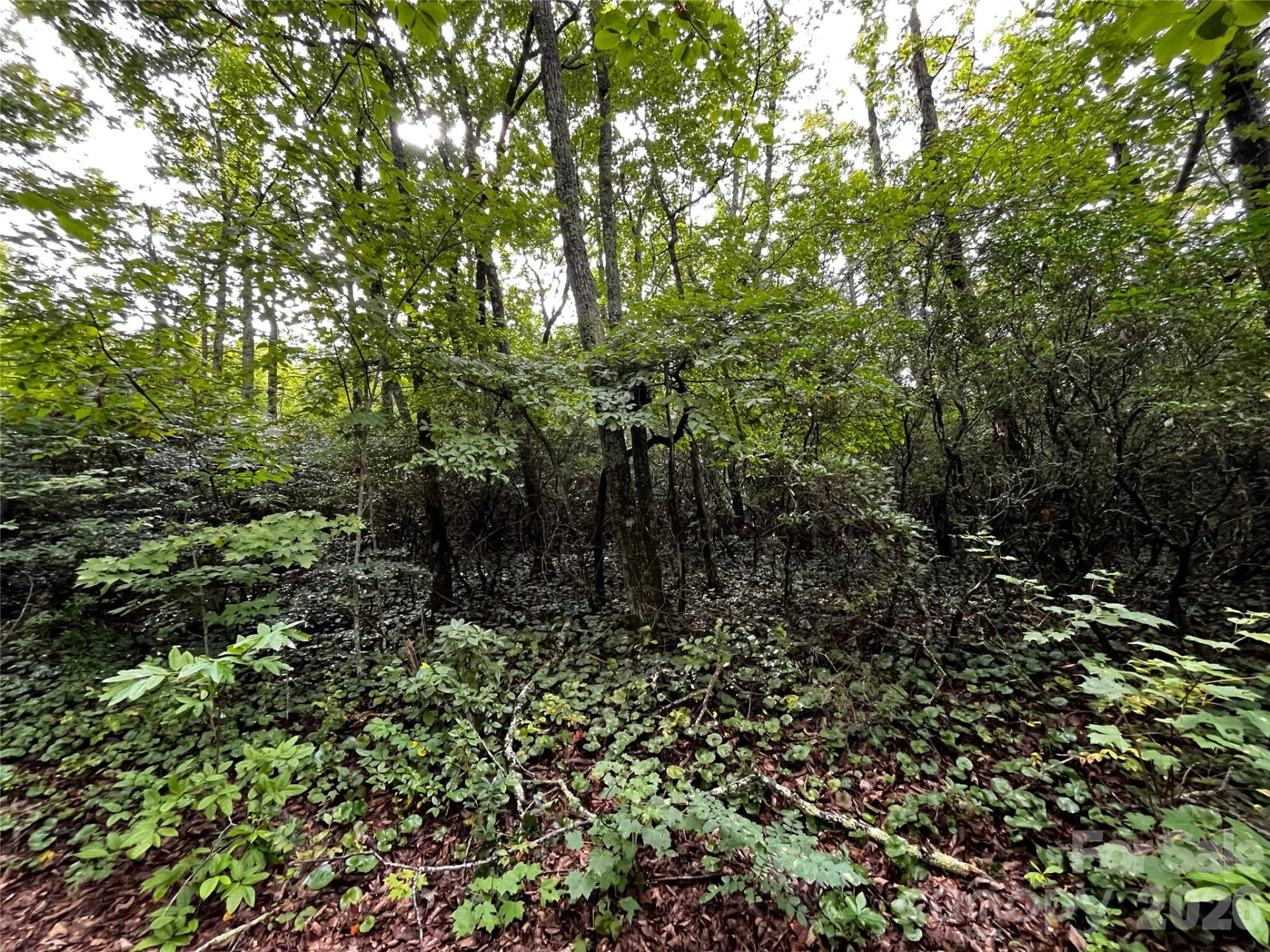 462 Autumn Forest Drive - Photo 2