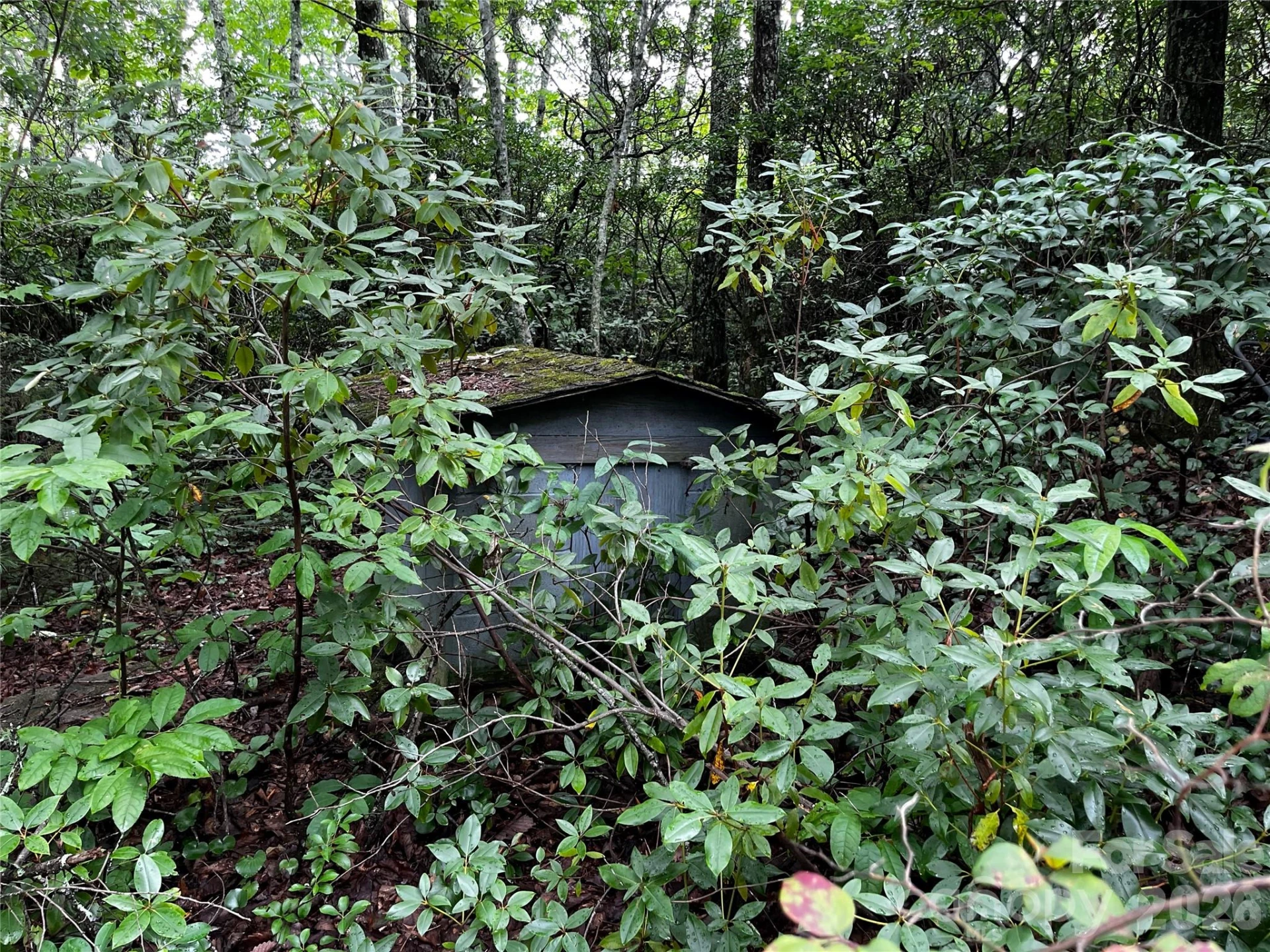 462 Autumn Forest Drive - Photo 3
