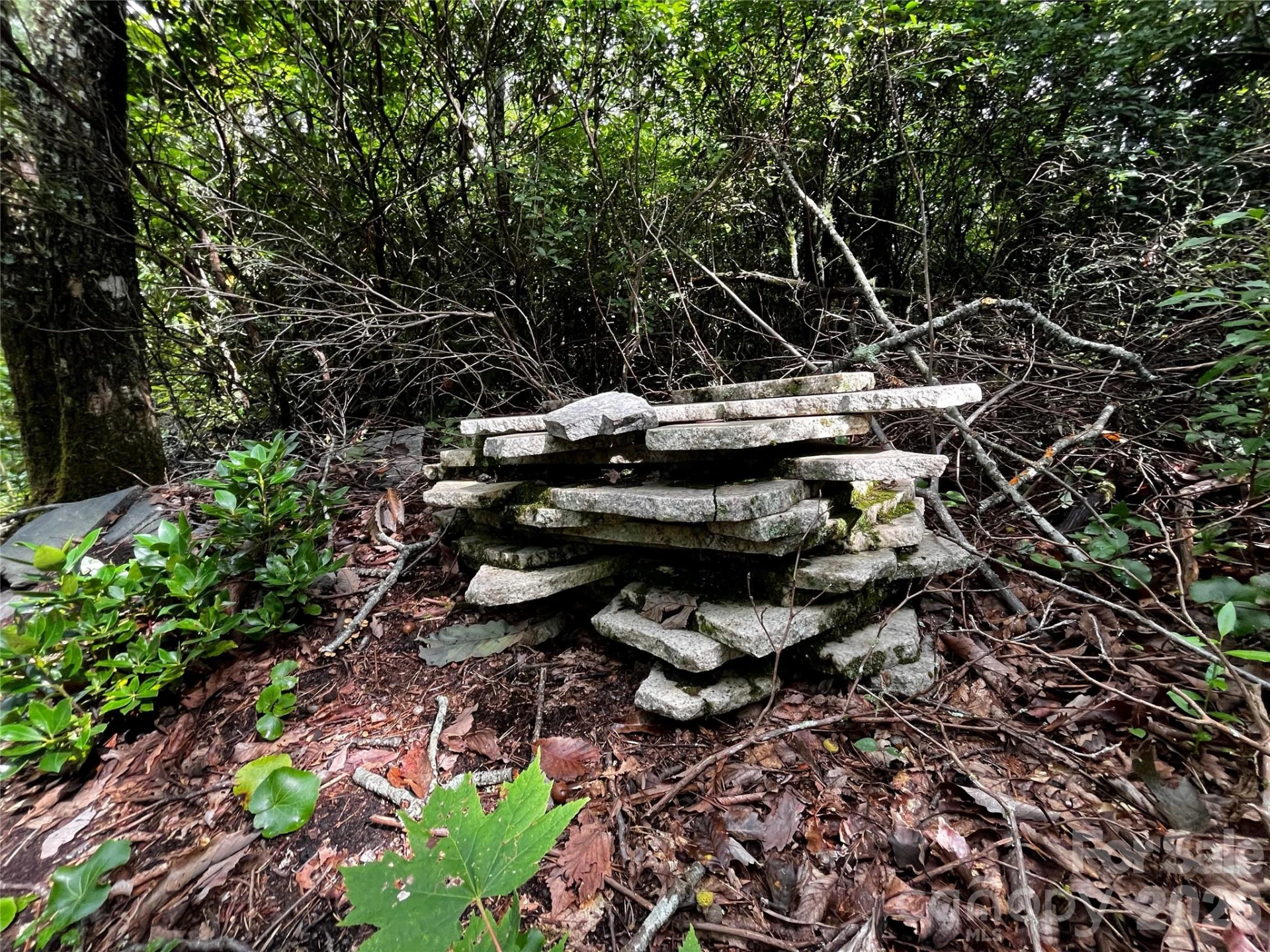 462 Autumn Forest Drive - Photo 4