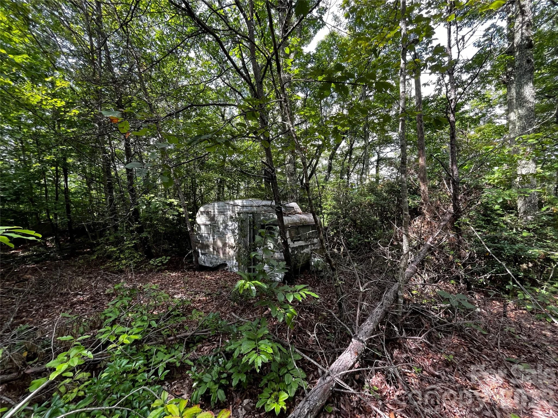 462 Autumn Forest Drive - Photo 5