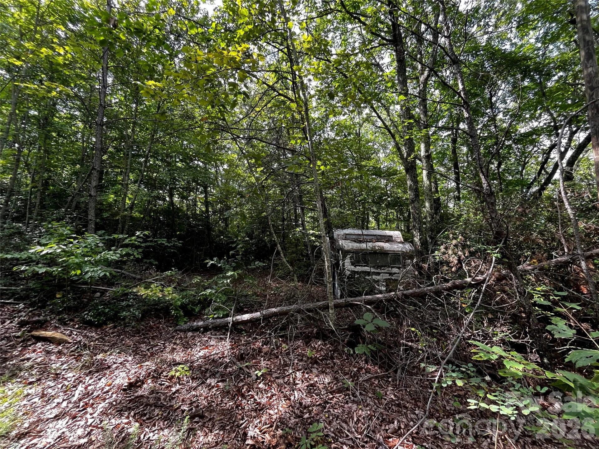 462 Autumn Forest Drive - Photo 6