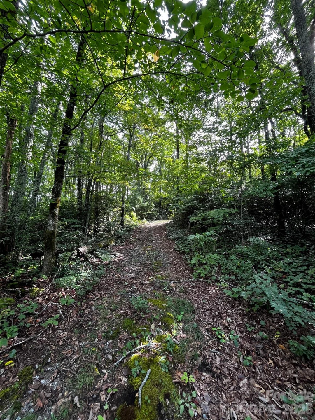 462 Autumn Forest Drive - Photo 7