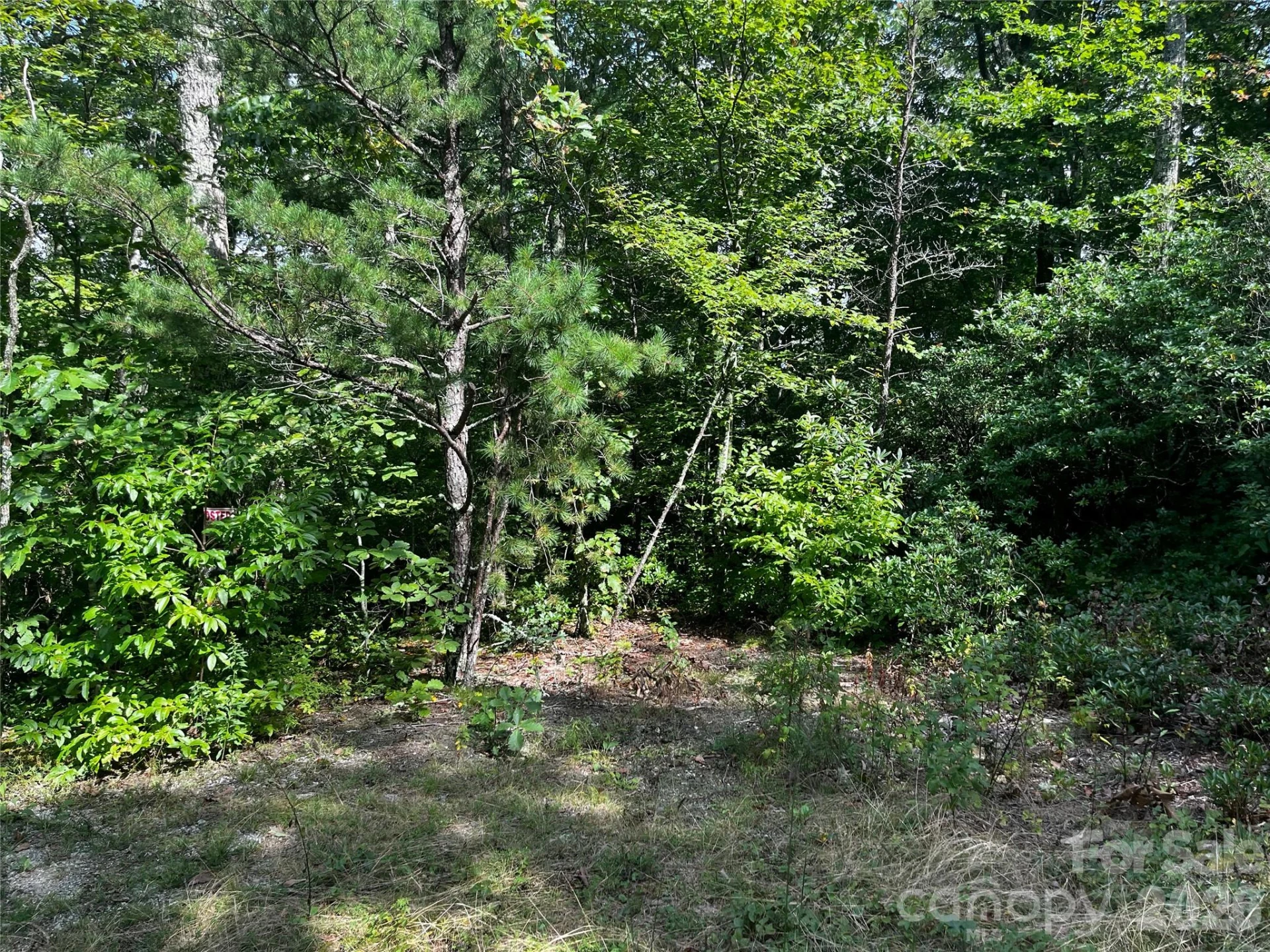 462 Autumn Forest Drive - Photo 8