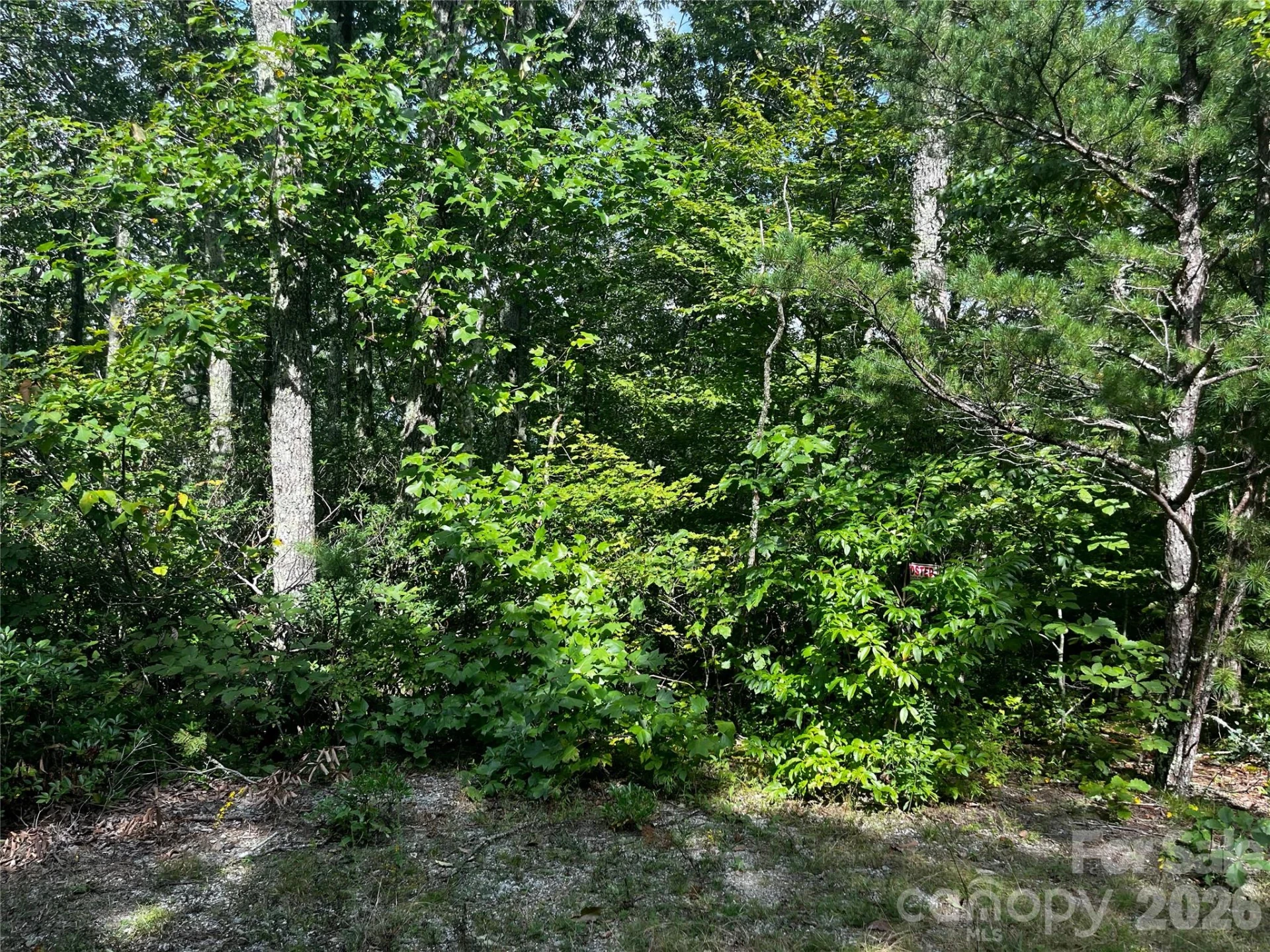 462 Autumn Forest Drive - Photo 9