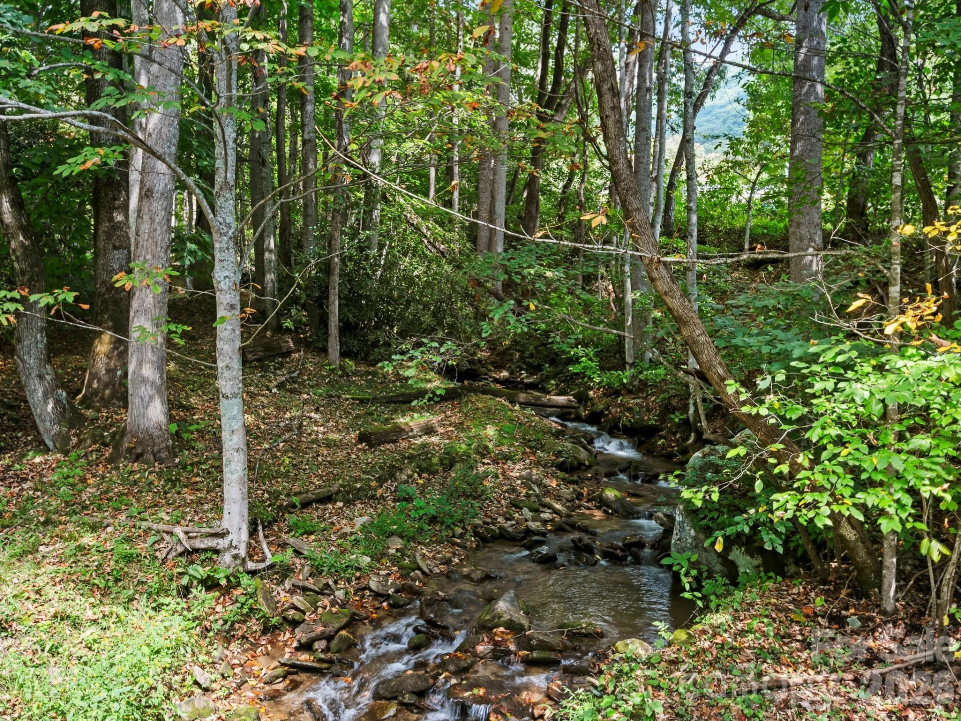 72 Cottontail Trail - Photo 29