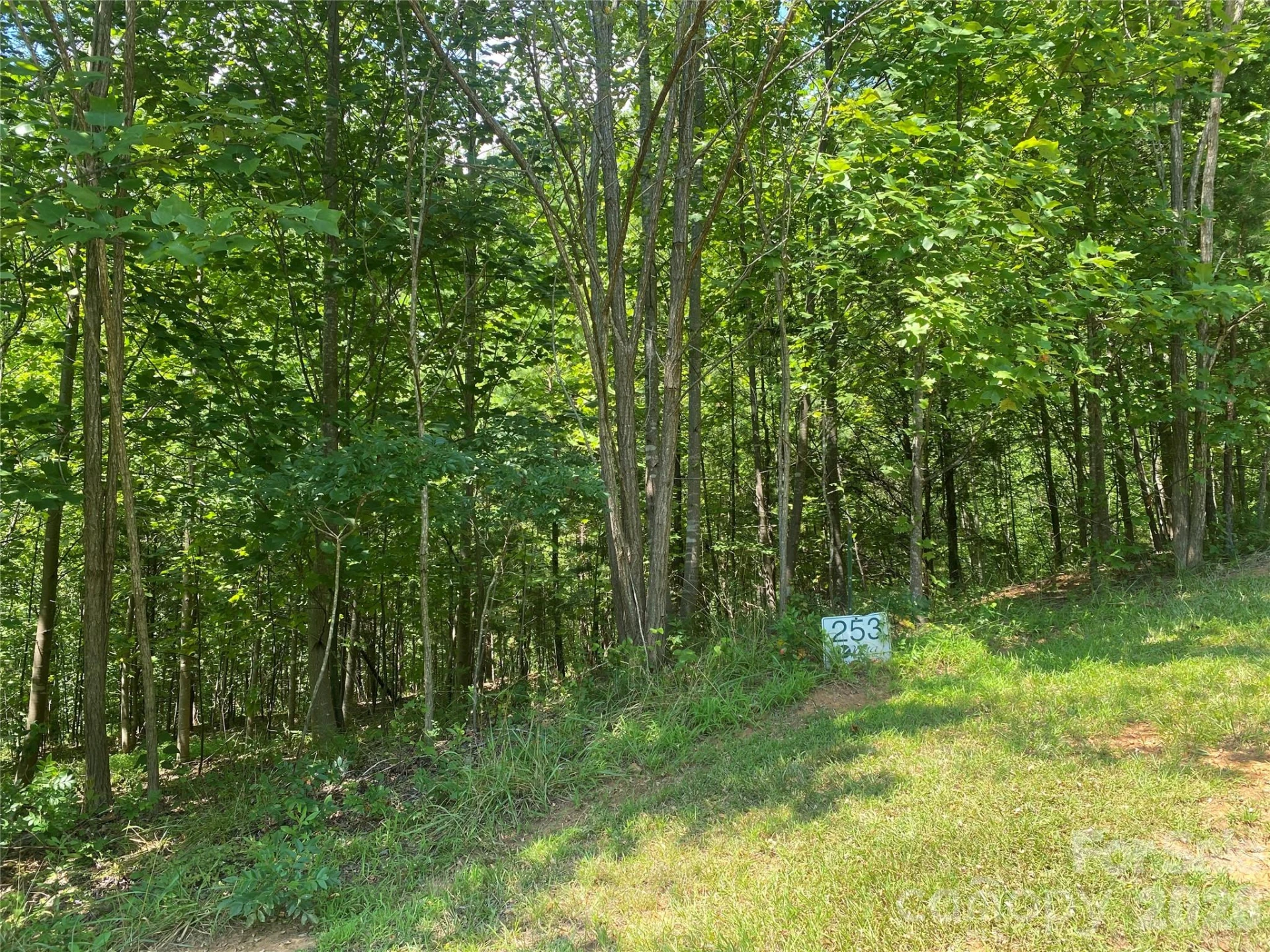 0000 Rock Ledge Drive - Photo 2