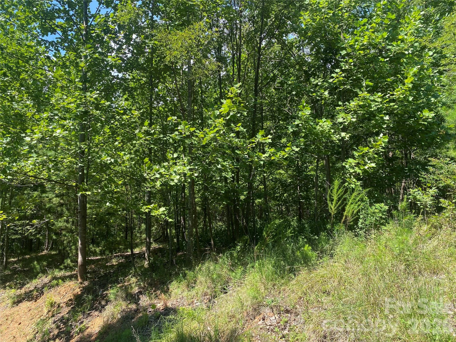 0000 Rock Ledge Drive - Photo 4