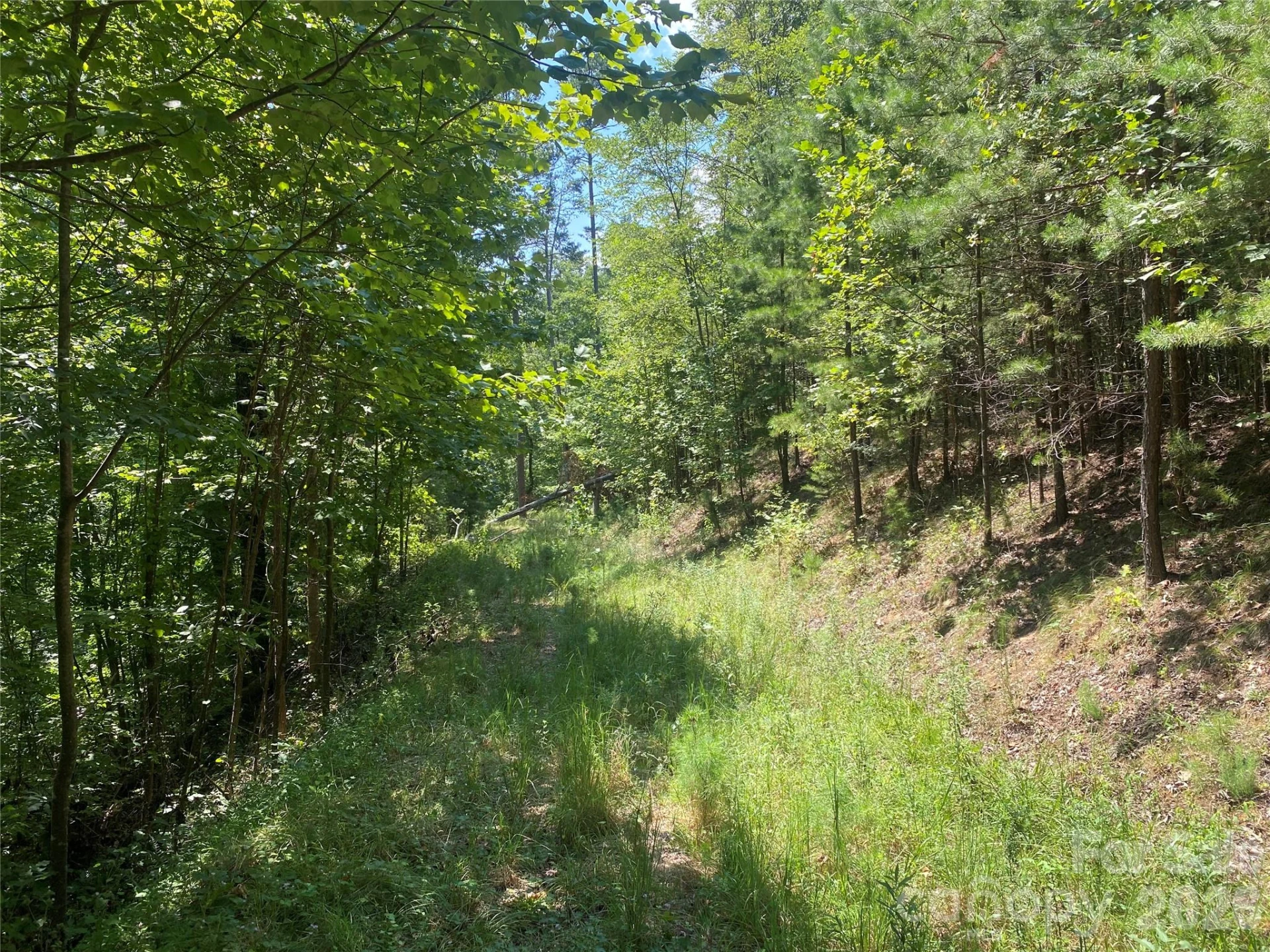 0000 Rock Ledge Drive - Photo 5
