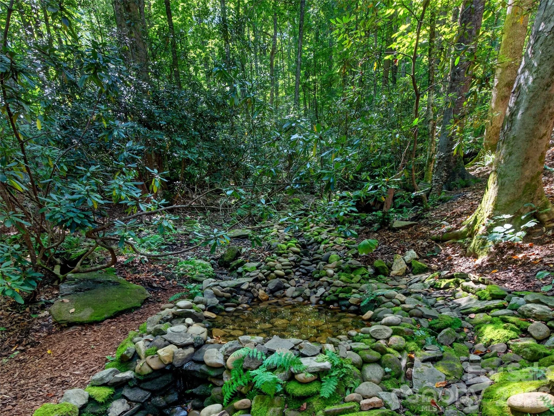427 Locust Drive - Photo 42