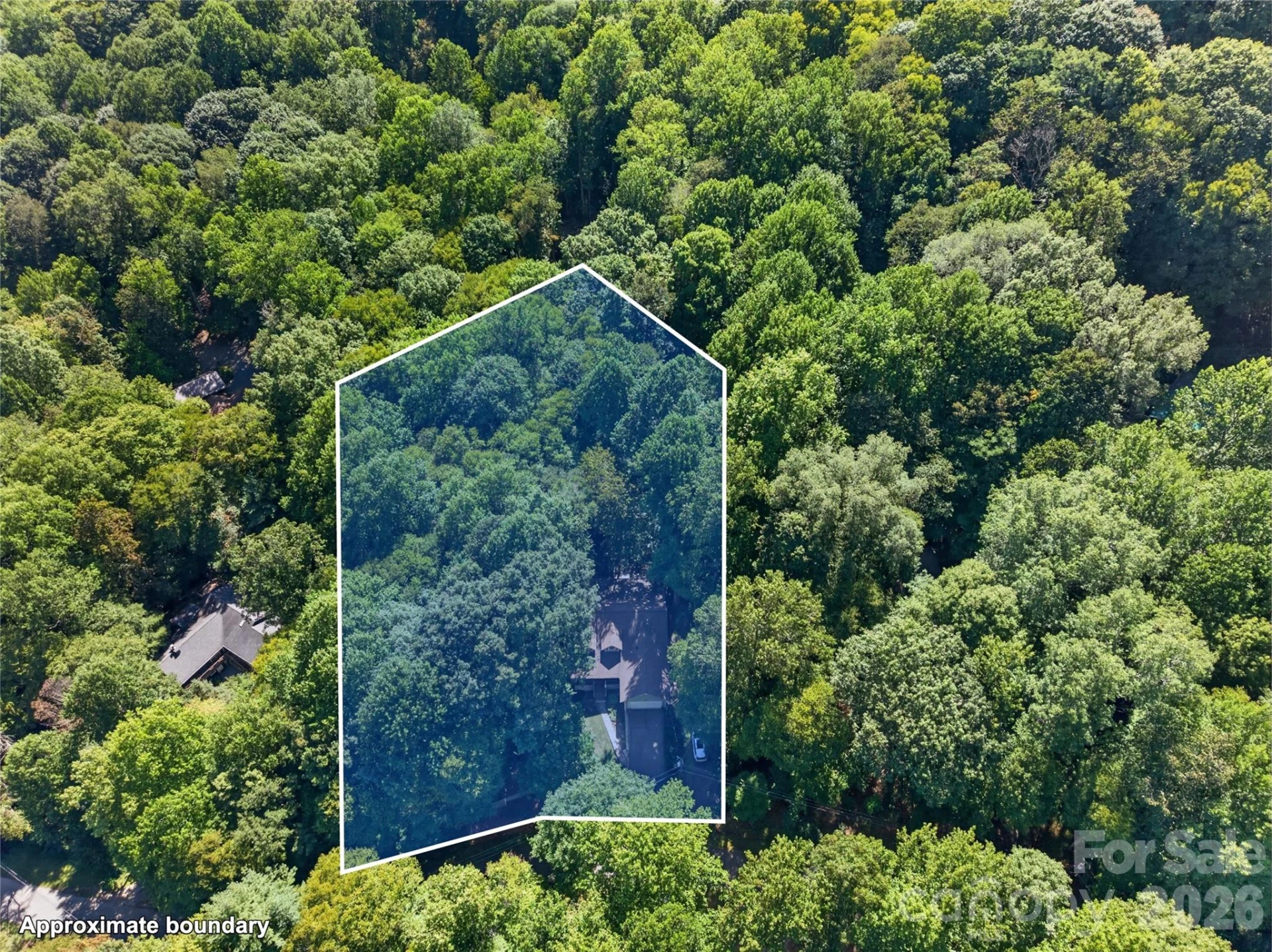 427 Locust Drive - Photo 47