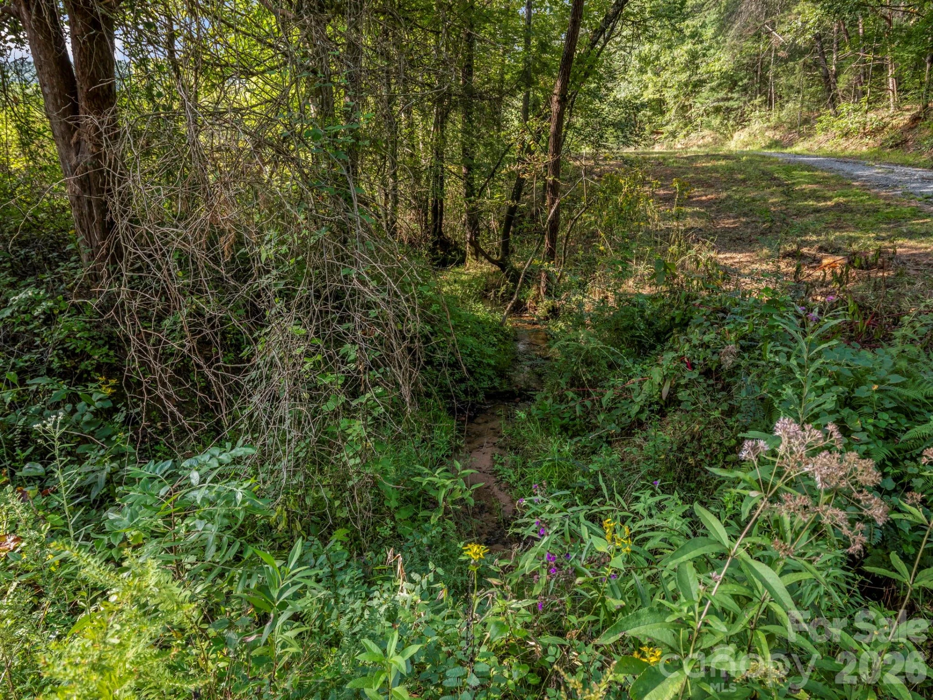184 Crawford Hollow - Photo 43
