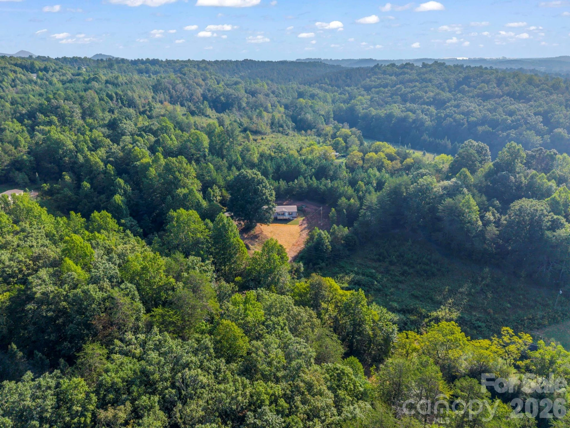 184 Crawford Hollow - Photo 47