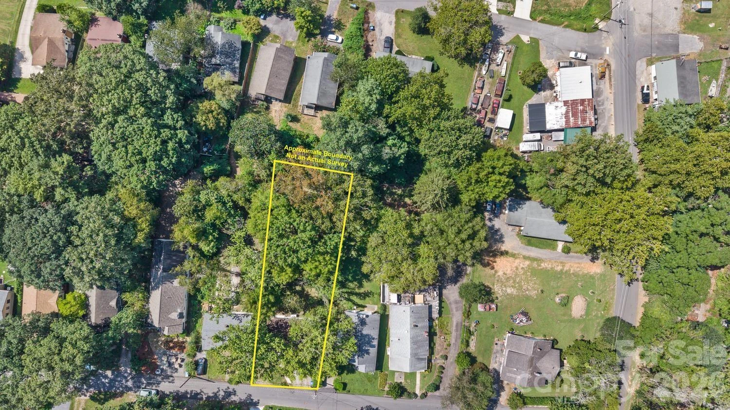 31 Wilmington Road - Photo 4
