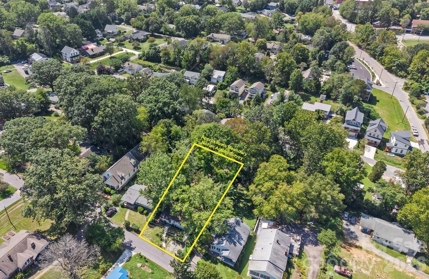 31 Wilmington Road - Photo 5