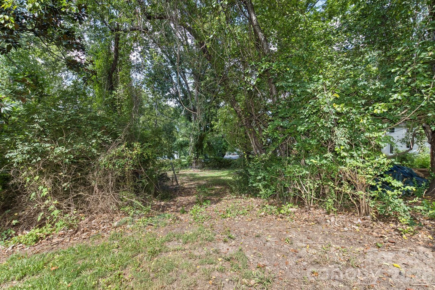 31 Wilmington Road - Photo 36