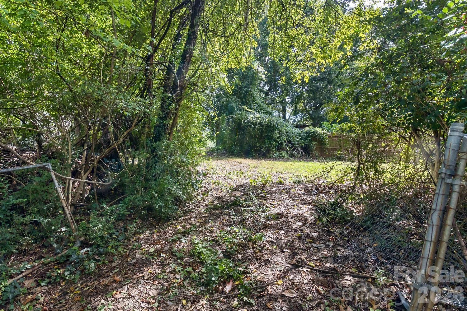 31 Wilmington Road - Photo 39
