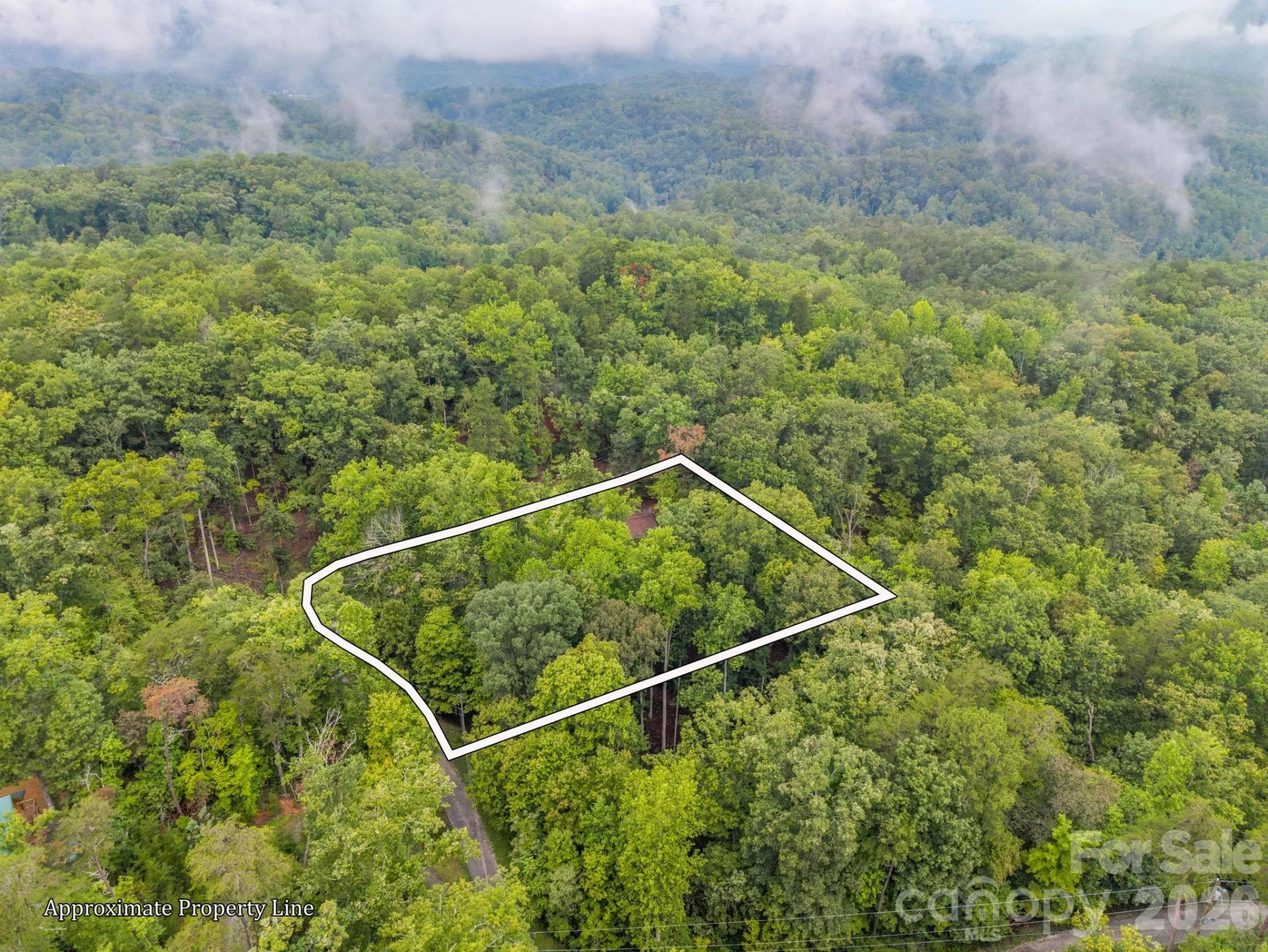 344 Wolf Trail - Photo 35