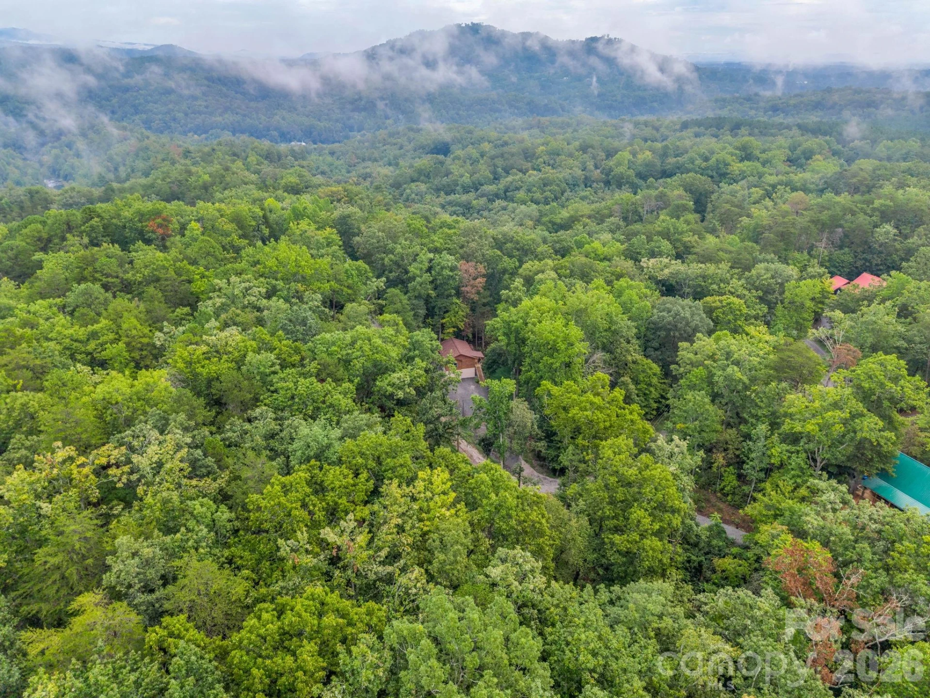 344 Wolf Trail - Photo 40