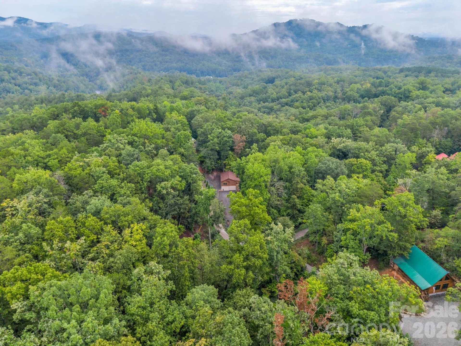344 Wolf Trail - Photo 41