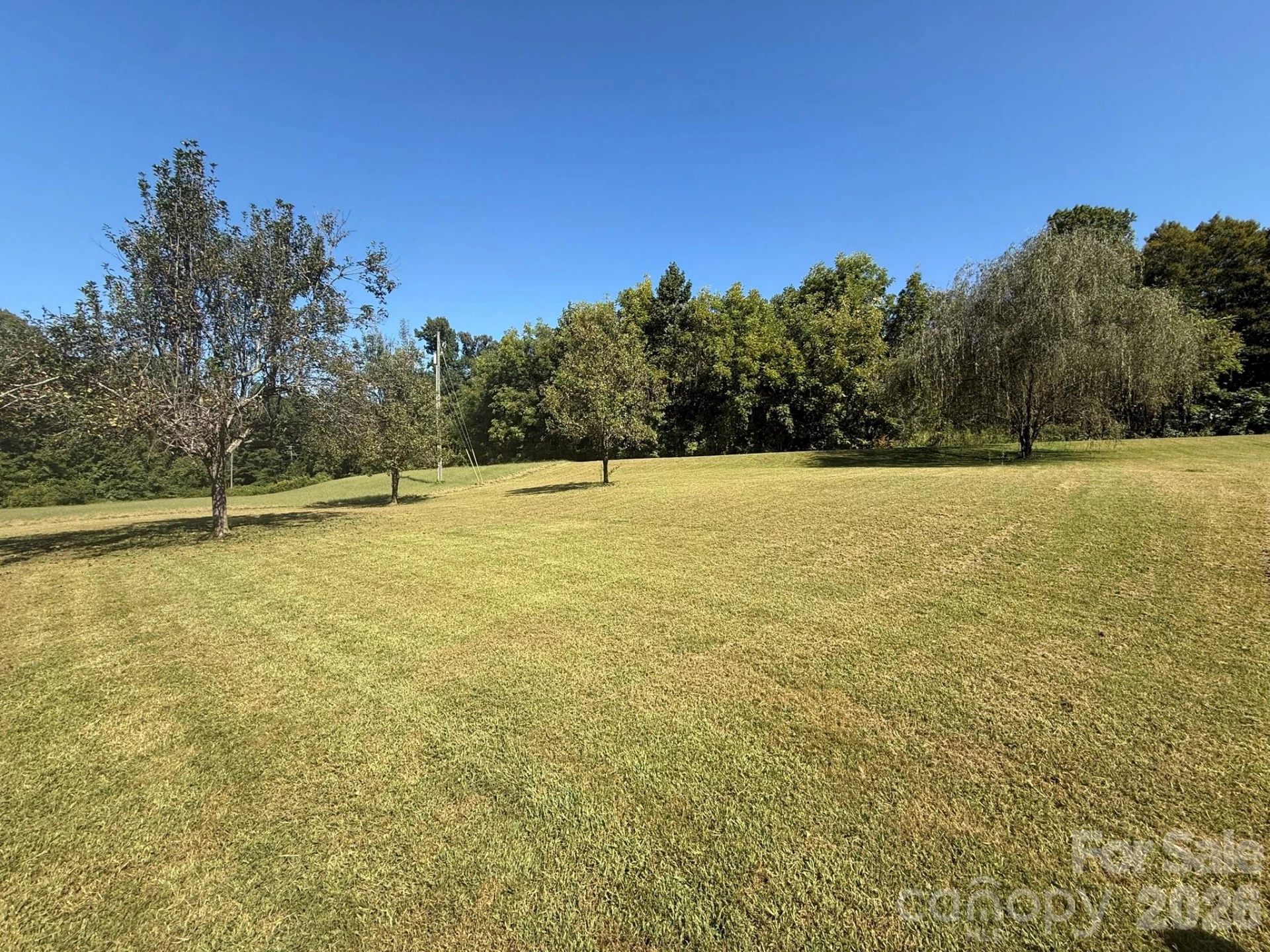 907 Epley Drive - Photo 39