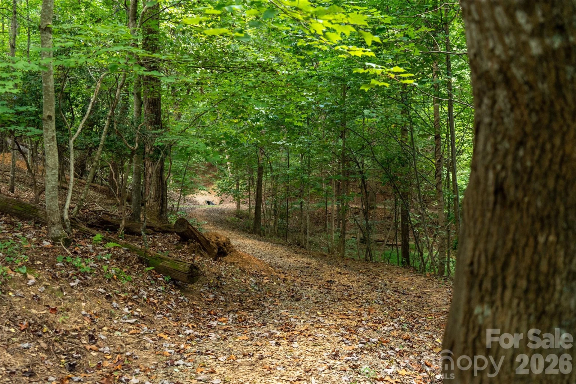 16 Holmes Lane - Photo 40