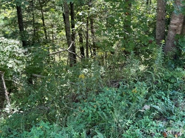 TBD Jarvis Drive - Photo 3