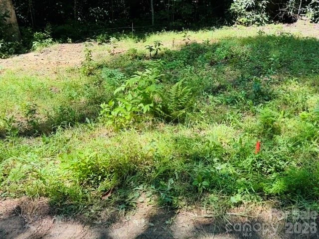 TBD Jarvis Drive - Photo 5