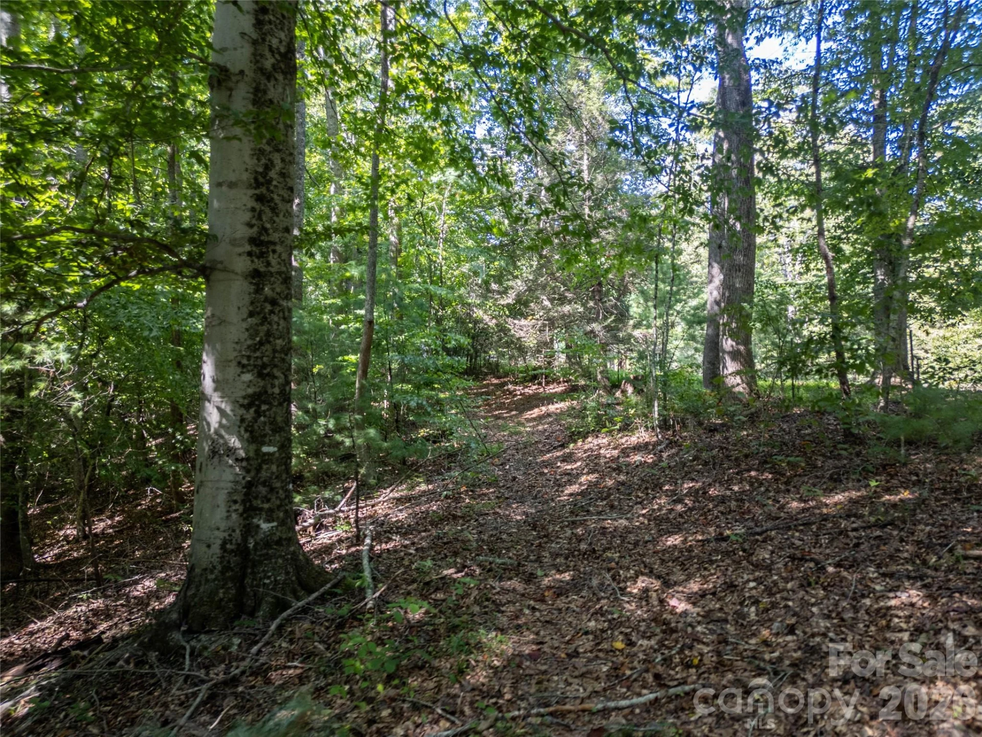 267 Morning Glory Lane - Photo 37