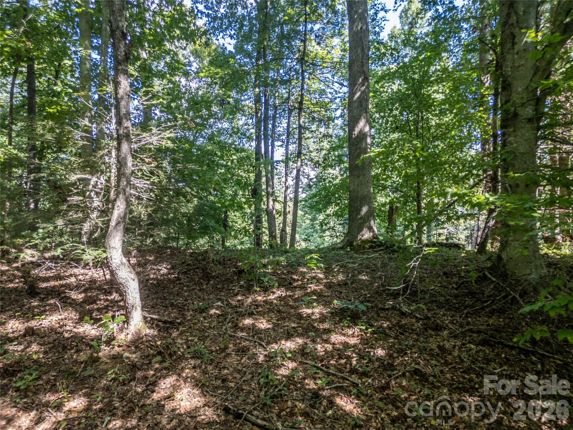 267 Morning Glory Lane - Photo 38