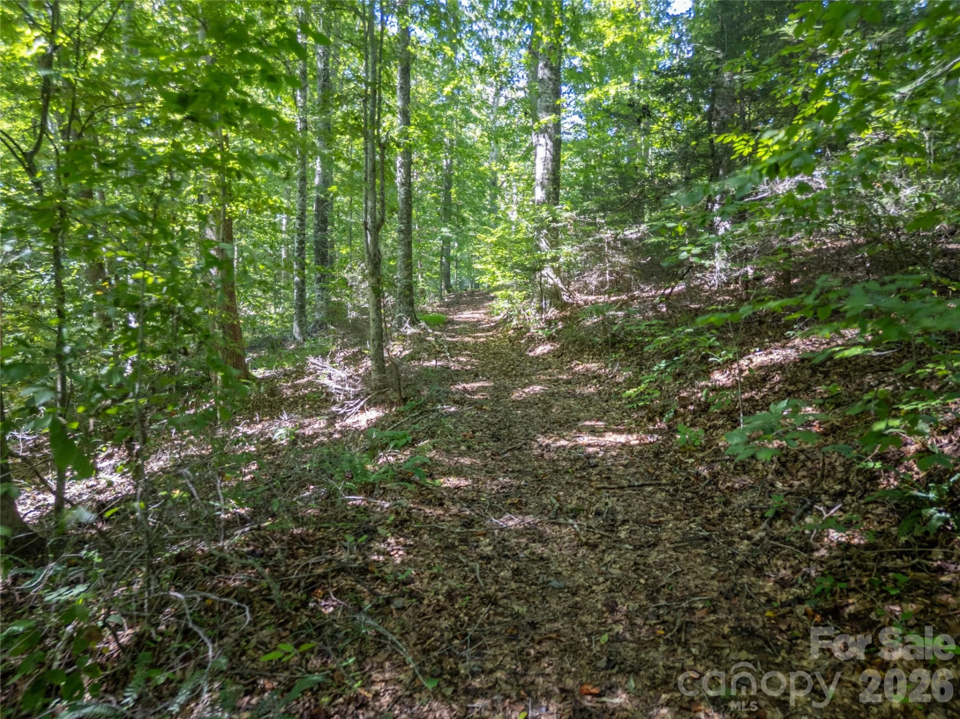267 Morning Glory Lane - Photo 40