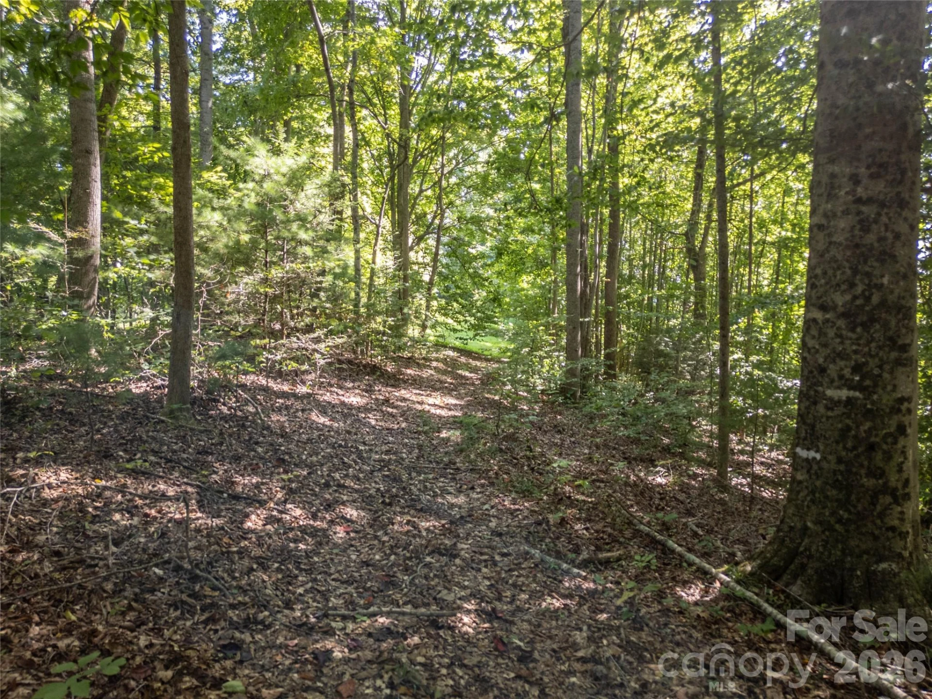 267 Morning Glory Lane - Photo 41