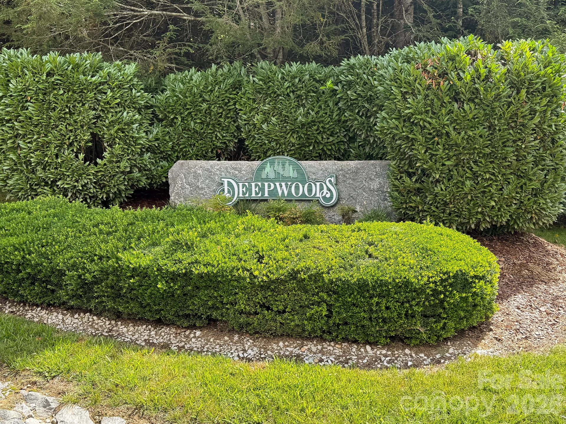 2008 Deep Woods Drive - Photo 5