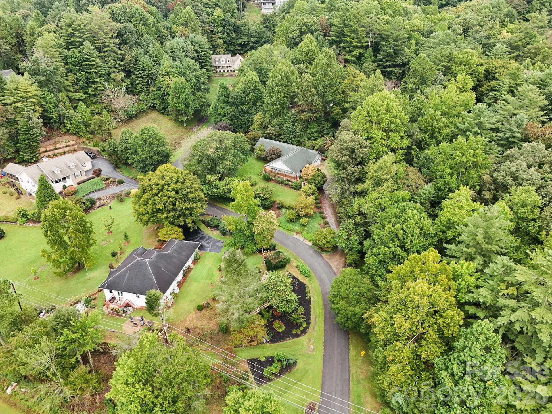 2008 Deep Woods Drive - Photo 6